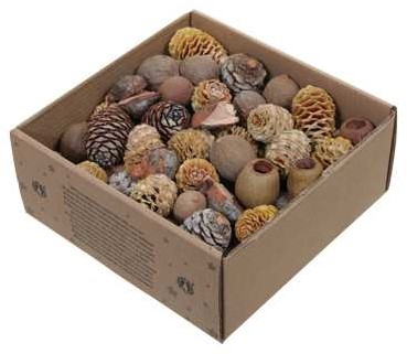 Leucodendron assortiment Naturelkleuren 640 gram