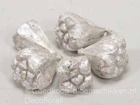 [A-016176] Kiyafruit White Pearl Noten 300 gram